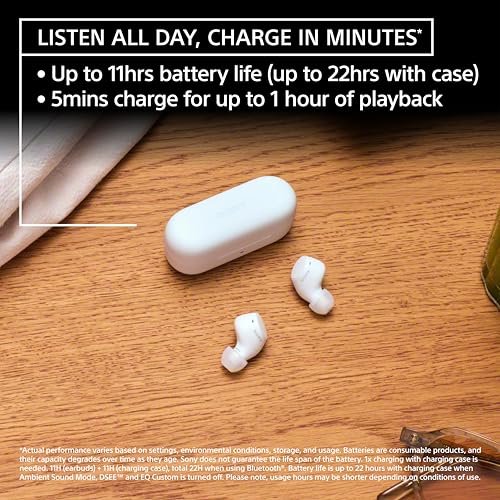 Sony WF-C510 Wireless Bluetooth Earbuds with Mic, TWS, in Ear, Ambient Sound Mode, Small and Comfortable, IPX4, Quick Charge, Multipoint Connectivity, Customized EQ, Up to 22 Hours Battery- Black - Image 10